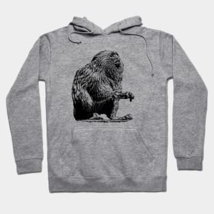 Marmoset Hoodie